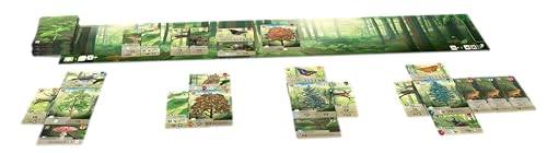 Spielansicht von Mischwald_2