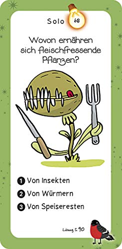 Spielansicht von Das Quiz der Erde_3
