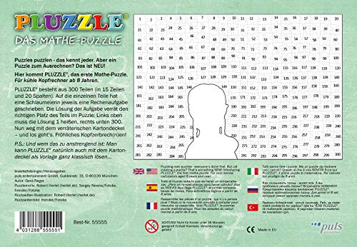 Spielansicht von Das Mathe-Puzzle_1