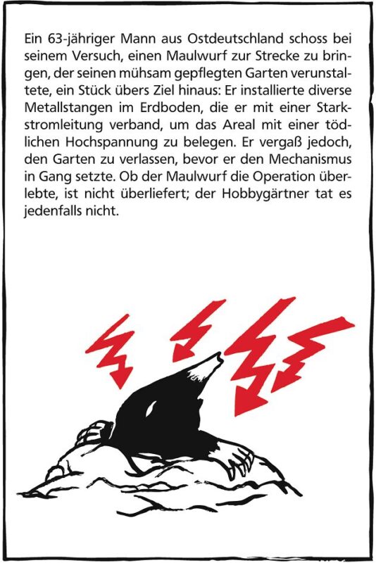 Spielansicht von Black Stories: Funny Death_3