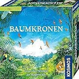 Spielansicht von Baumkronen