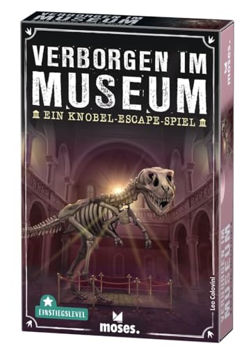 Spielansicht von Verborgen im Museum