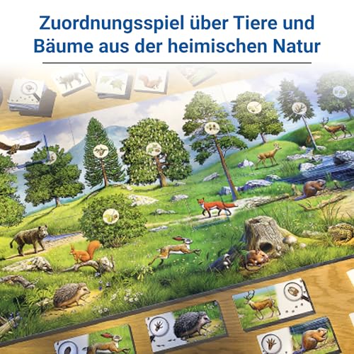Spielansicht von Der Natur auf der Spur_1