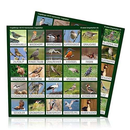 Spielansicht von Vogel-Bingo_3