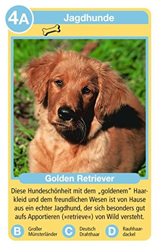 Spielansicht von Tierquartett Hunde_1