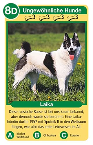 Spielansicht von Tierquartett Hunde_2